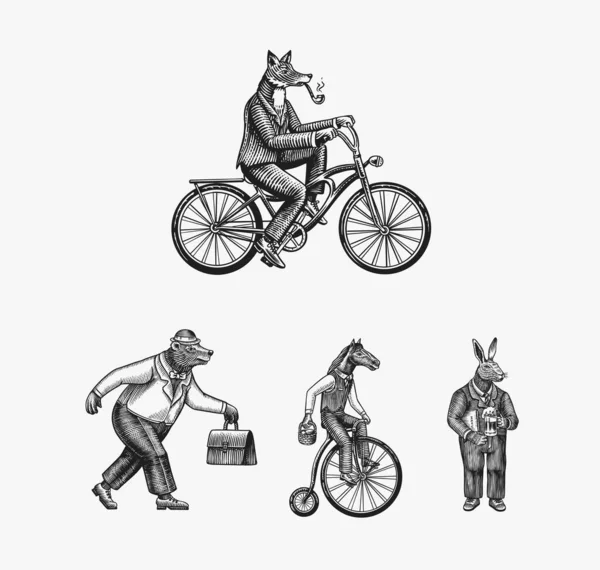 En räv med pipa i kostym cyklar. Björn, häst och hare. Mode Djur tecken set. Handritad skiss. Vektor graverad illustration för etikett, logotyp och T-shirts eller tatuering. — Stock vektor