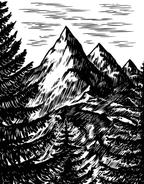 Des sommets montagneux. Paysage naturel avec sapins. Logo et étiquette du camping. Voyage dans la forêt, en plein air. Aventure. Insigne sur le tableau. Vieille broche vintage dessinée à la main. Croquis en style contour gravé — Image vectorielle