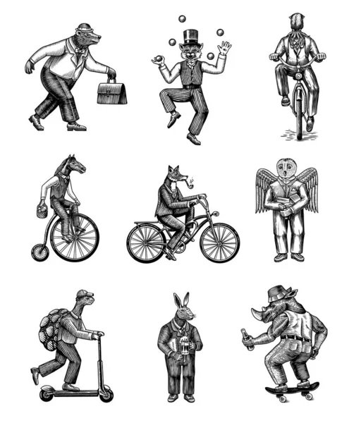 Róka biciklin, macska zsonglőr, teknős robogón. Medve, ló, nyúl, bagoly, tintahal. Divatállat karakterek beállítva. Kézzel rajzolt vázlat. Vektoros illusztráció címkékhez, logókhoz és pólókhoz. — Stock Vector