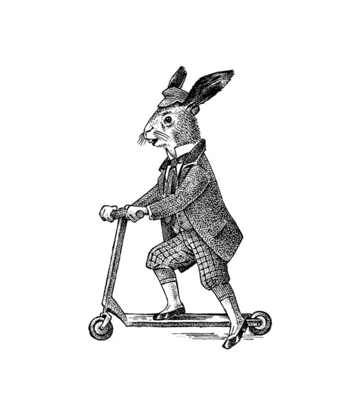 Haas of konijn rijdt op een scooter. Antieke man met pet en jas. Victoriaanse Oude Retro Kleding. Een man in een pak. Met de hand getekend, oude monochrome schets. Vintage graveerstijl. — Stockvector