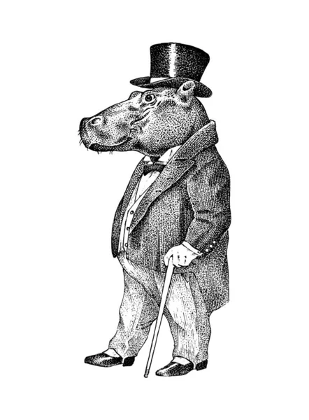 Modieuze hippopotamus. Een antieke man in een jasje en een hoge hoed. Victoriaanse Oude Retro Kleding. Een man in een pak. Vintage graveerstijl. Handgetekende oude monochrome schets. — Stockvector