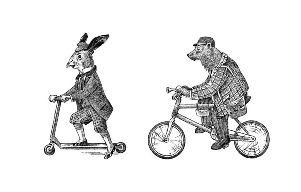 Бурый медведь ездит на велосипеде. Заяц или кролик на скутере. Античный джентльмен в шапке и пальто. Викторианская старинная ретро-одежда. Человек на велосипеде. Винтажный стиль гравировки. Ручной рисунок. — стоковый вектор
