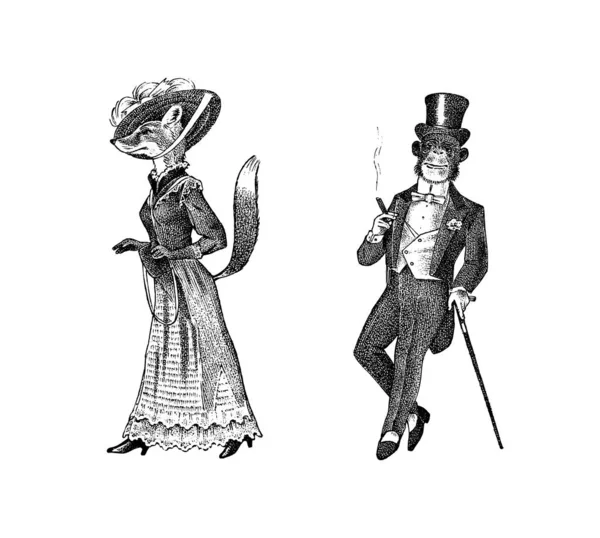 穿着衣服的时髦狐狸和猴子.抽雪茄的绅士。古董夫人维多利亚时代的女人和男人。古旧的复古妇女的衣服。老式雕刻风格。手绘草图 — 图库矢量图片
