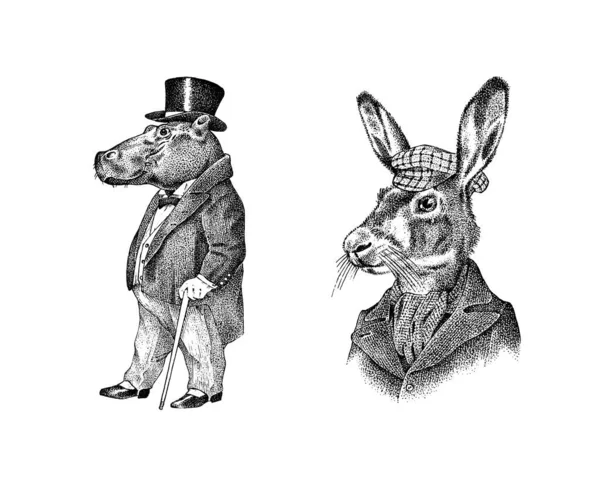 Hare eller kanin och flodhäst. Antik gentleman i mössa och rock. Viktorianska gamla Retro kläder. En man i kostym. Handritad gammal monokrom skiss. Vintage gravyr stil. — Stock vektor