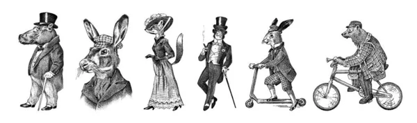 棕熊骑自行车.狐狸、猴子、河马、野兔或骑摩托车的兔子。穿着帽子和外套的古董先生.维多利亚时代的男人老式雕刻风格。手绘旧素描. — 图库矢量图片