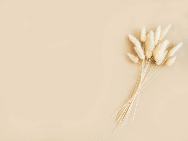 Ruhani temizlik için malzemeler, adaçayı, palo santo tütsü çubukları ve gri arka planda kuvars kristali. Üst Manzara. Pankart