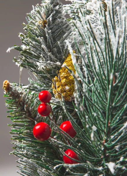 Gros Plan Des Décorations Arbres Noël — Photo