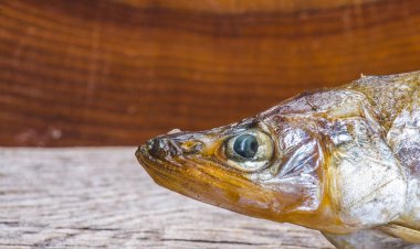 Taze çiğ gümüş balık tavada kızartılmış.