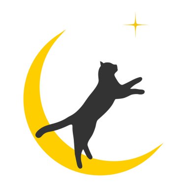 Ay 'da bir kara kedi tasviri bir yıldızı ortaya çıkarıyor.