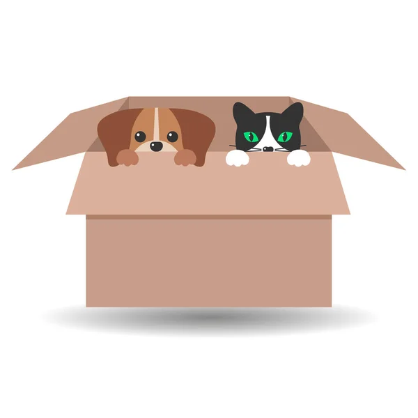 Εικονογράφηση Χαριτωμένου Σκύλου Και Γάτας Κουτί Σκιά Λευκό Φόντο — Διανυσματικό Αρχείο