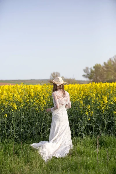 フィールドの花嫁 — ストック写真
