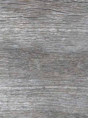 Ahşap dokusu arka plan, ağaç kabuğunun ahşap dokusu doğal arka plan