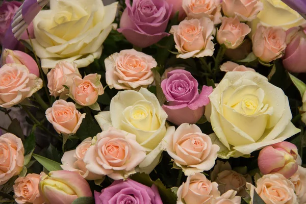 Renkli çiçeklerin arkaplanı