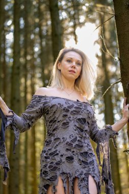 Ormanda ağaç gövdeleri arasında poz veren çekici sarışın kadın. Omuz tasarımcısı elbisesiyle yırtık pırtık pırtık.