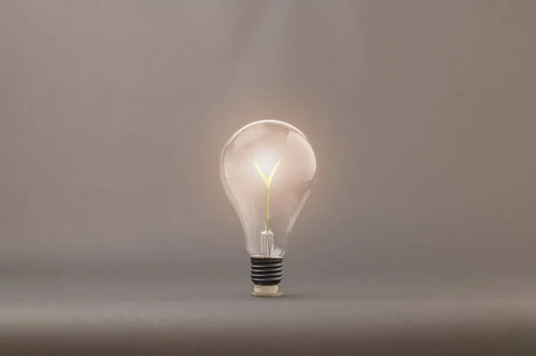 Concept Ampoules Émergence Nouvelles Idées — Photo