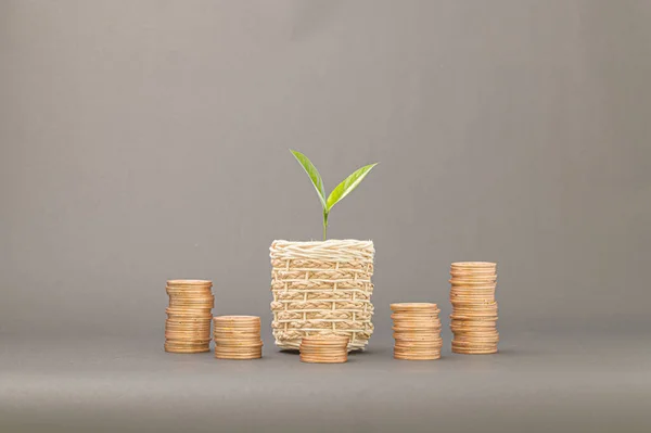 Concept Stacked Coins Finance Grow Income Invest Stocks Trade Money Stock Image