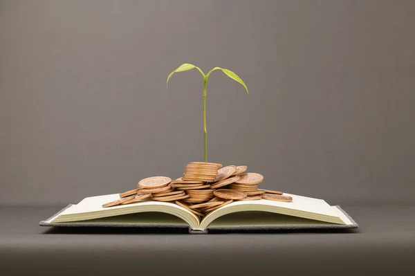 Hisse yatırımları gelir artışından tasarruf et