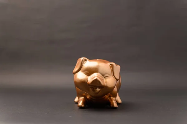 Piggy Bank Showing Savings Income Investments Stocks — Stock Photo, Image