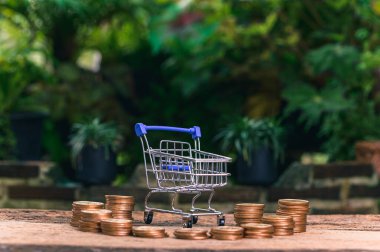 Para biriktir, hisse senedi yatırım yap, gelirini arttır.