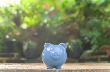 Domuz kumbarası gelecek için para biriktirir.