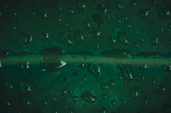 Gotas Água Macro Folhas Amam Meio Ambiente — Fotografia de Stock