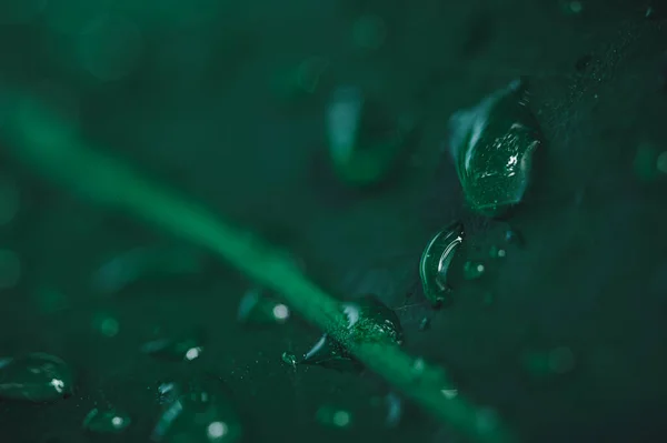 Makro Wassertropfen Auf Blättern Lieben Die Umwelt — Stockfoto