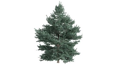 3 Boyutlu Ağaçlar Arkaplan Sahnesi Beyaz