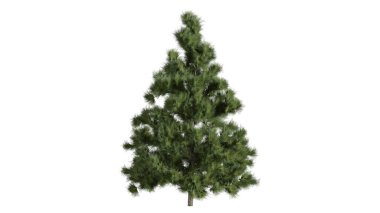 3 Boyutlu Ağaçlar Arkaplan Sahnesi Beyaz