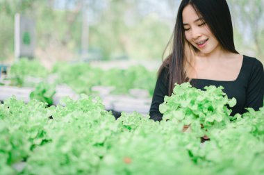 Sebzeli kadın, hidrofonik, sağlıklı bir vücut için sebze ye, güçlü ve parlak..