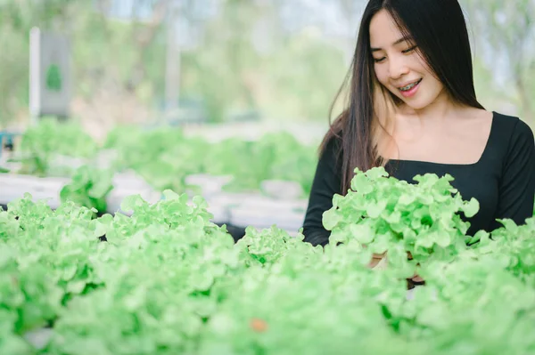 Sebzeli kadın, hidrofonik, sağlıklı bir vücut için sebze ye, güçlü ve parlak..