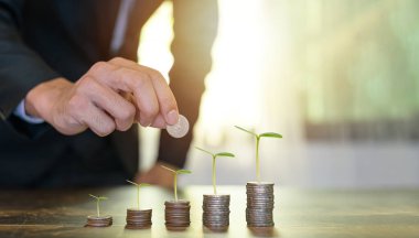 Yatırım, ticaret, tasarruf ve kar elde etmek faiziyle, Büyüyen Para, Bitki Paralar, Finans ve Yatırım Konsepti, ticaret, yatırımcı, yatırım, metaevren