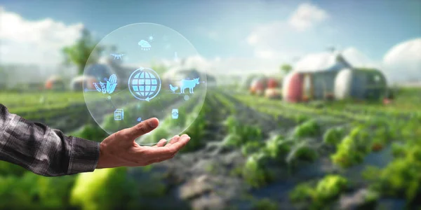 Moderna Smart Farm Controllata Dalla Tecnologia Agricoltori Sta Monitorando Crescita — Foto Stock