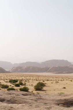 Wadi Rum Çölü, Jordan. UNESCO Dünya Mirası Alanı olarak tanımlanıyor. Ulusal park manzarası. Offroad maceraları seyahat geçmişi. Sis perdesi.