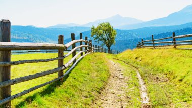 Güneş yemyeşil bir sahne aydınlattı tahta çitler ve dağlarla 