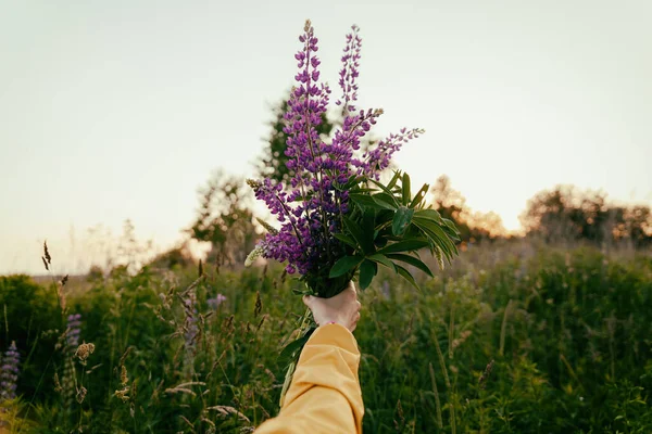 Sarı ceketli bir insan eli lupin çiçekli bir buket tutuyor.. 