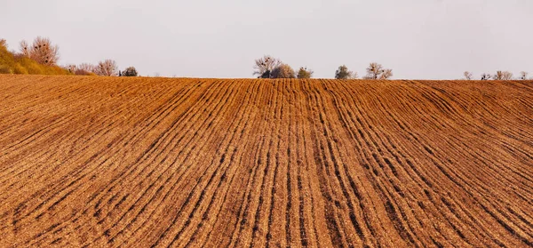 Início Primavera Arado Campo Pronto Para Novas Culturas Fazenda Paisagem — Fotografia de Stock