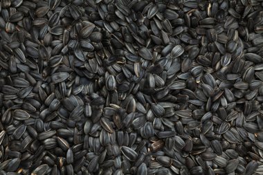 ay çekirdekleri üst görünümü kapatır