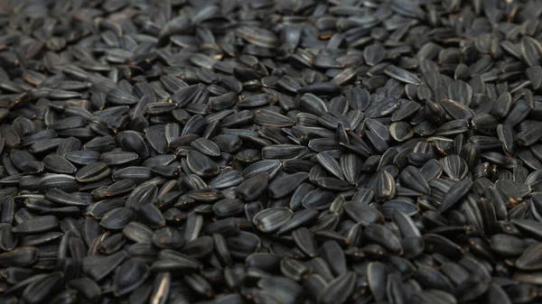 Sunflower Seeds Close Top View — Stockfoto