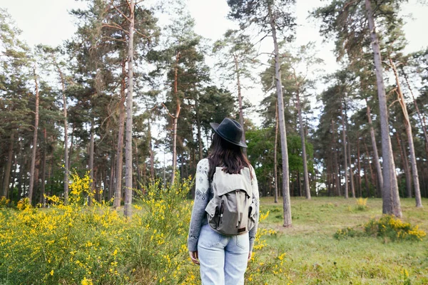 帽子とリュックを被った若い女性が森を歩いています — ストック写真