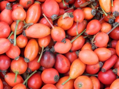 beyaz zemin üzerinde yabani gül çilek