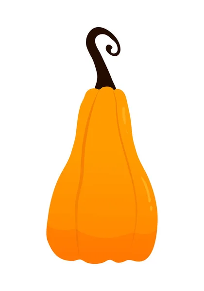 Ensemble Citrouilles Orange Automne Isolé Sur Fond Blanc — Image vectorielle