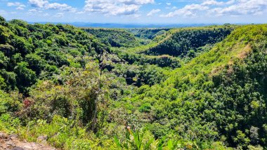 Panama, Los Molinos, derin kanyon yoğun tropikal bitki örtüsüyle kaplı. Hava görünümü