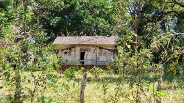 Panama, Chiriqui province, old abandoned wooden house in tropical forest