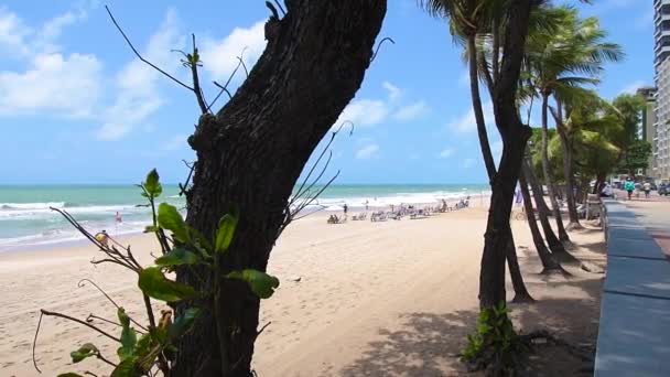 Recife Brezilya Ekim 2021 Güneşli Bir Günde Plaj Boa Viagem — Stok video