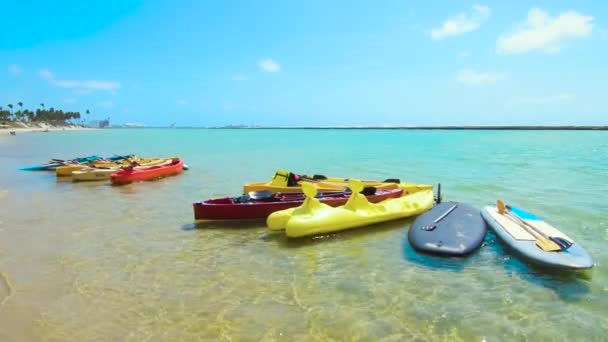 Utsikt Över Vacker Strand Med Turist Kajaker Solig Dag Stranden — Stockvideo