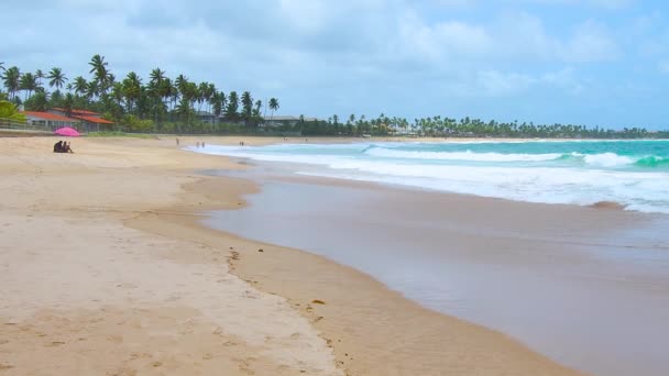 美丽的拉丁美国海滩 庞塔尔多库佩海滩在Ipojuca 海滩视野开阔 伯南布哥州的旅游目的地 — 图库视频影像