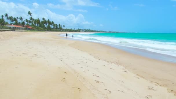 Caminando Una Hermosa Playa Del Noreste Brasileño Playa Cupe Ipojuca — Vídeo de stock