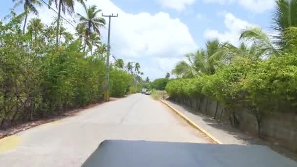 Ipojuca Brazília 2021 Október Turista Nézőpontja Teherautón Mások Elhaladó Bogarak — Stock videók