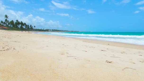 ブラジルのイポジュカPeのカップビーチで 南アメリカのビーチの海の美しい景色 晴れた日には青い海とビーチの広い景色 ペルナンブコ州の観光地 — ストック動画