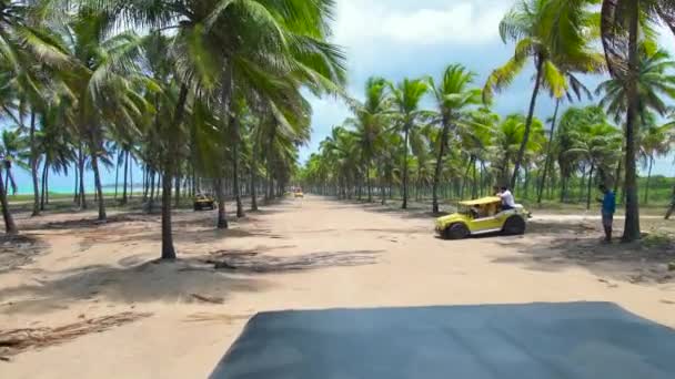 Ipojuca ブラジル 2021年10月15日 マラカイプビーチのココナッツツリールートでバギーに乗る ブラジル北東部の観光地 — ストック動画